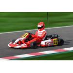 Birel R31-SE Readyset.