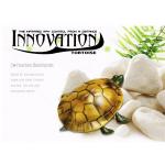 เต่าญี่ปุ่นบังคับ (Innovation Tortoise)