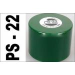 PS22:Racing Green
