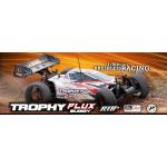 RTR Trophy Buggy Flux.