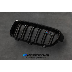 Black Grille D/L F30