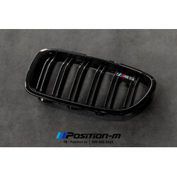 Black Grille D/L F10
