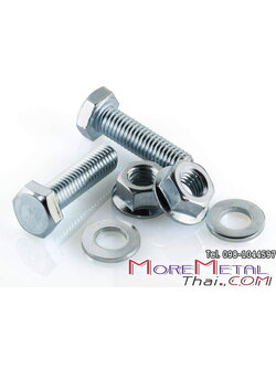 Bolt Nut
