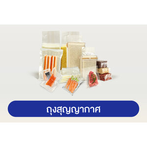 ถุงสุญญากาศ