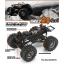 RTR Wheely King 4*4 Monster Truck