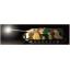 German Tank Destroyer Jagdpanzer IV/70 (V) Lang (Sd.Kfz.162/1) (Full-Option Kit)