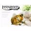 เต่าญี่ปุ่นบังคับ (Innovation Tortoise)