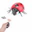 เต่าทองบังคับ (Lady Bug)