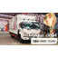 FRR 190 แรงม้า ความยาวแชสซี 6.5 เมตร ติดตั้งกระบะเหล็กคอกสูง โปรโมชั่น - ISUZU SALES TRUCK ยูโร3