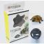 เต่าญี่ปุ่นบังคับ (Innovation Tortoise)