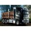 Volvo FH16 Globetrotter 750 6x4 Timber Truck