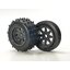 The Grasshopper II (2017) Black Edition
