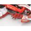 Birel R31-SE Readyset.