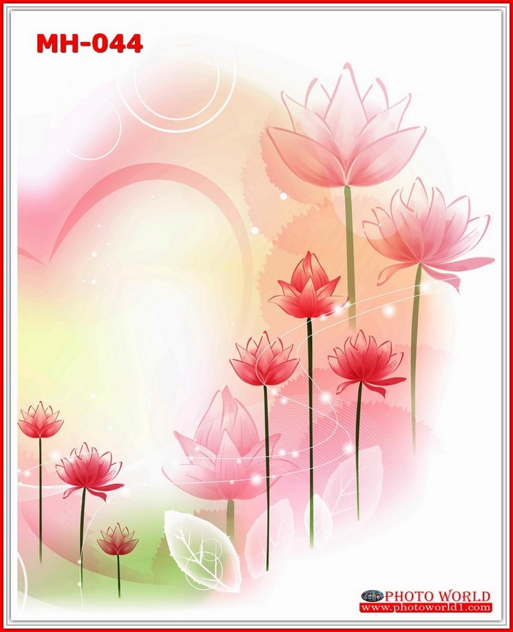 วอลเปเปอร์รูปภาพติดผนังสั่งทำ มีภาพให้เลือกกว่า 50,000 ภาพ ออกแบบกราฟฟิค หรือ รูปภาพตามที่ท่านกำหนด ในสไตล์ท่านเอง "custom made"