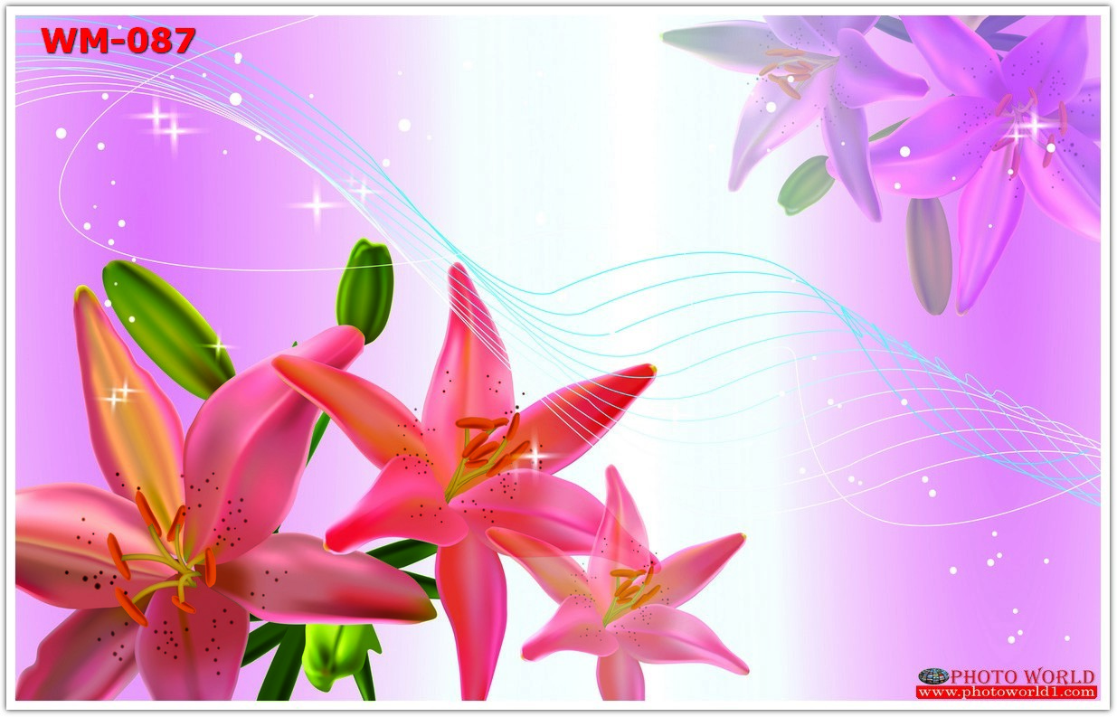 วอลเปเปอร์รูปภาพติดผนังสั่งทำ มีภาพให้เลือกกว่า 50,000 ภาพ ออกแบบกราฟฟิค หรือ รูปภาพตามที่ท่านกำหนด ในสไตล์ท่านเอง "custom made"