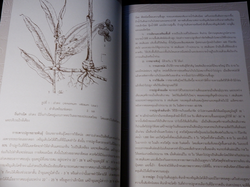 สมุนไพรไทย-จีน โดย กรมวิทยาศาสตร์การเเพทย์ กระทรวงสาธารณสุข