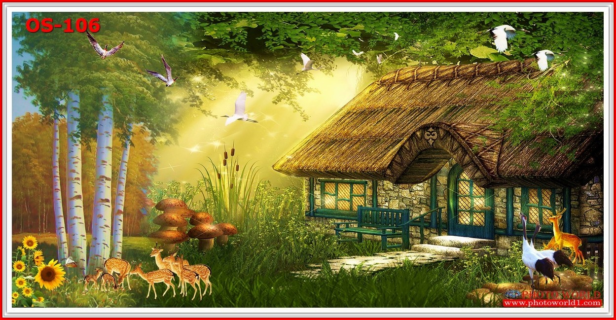 วอลเปเปอร์รูปภาพติดผนังสั่งทำ มีภาพให้เลือกกว่า 50,000 ภาพ ออกแบบกราฟฟิค หรือ รูปภาพตามที่ท่านกำหนด ในสไตล์ท่านเอง "custom made"