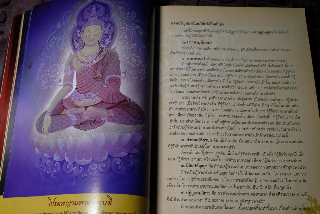 การปฏิบัติวิปัสสนากัมมัฏฐาน ตามเเนวมหาสติปัฏฐาน 4 โดย พระครูปลัดวรเมธาวัฒน์ (วรพงศ์) ภาพประกอบโดย อ.สุวัฒน์ เเสนขัติยรัตน์ ปี 2556