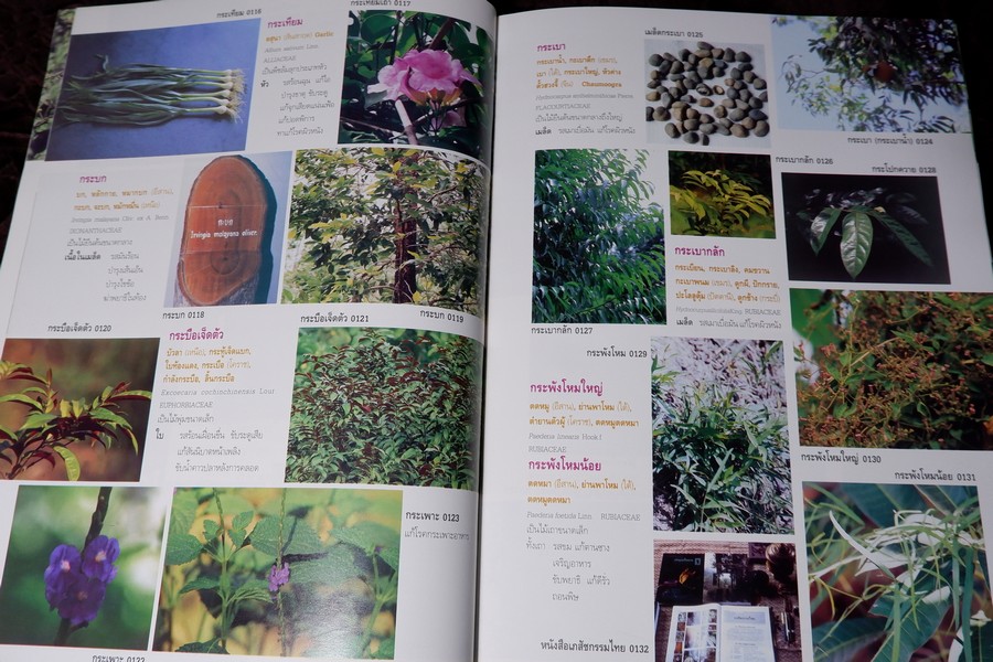 สารานุกรมเครื่องยาไทย 1 โดย วุฒิ วุฒิธรรมเวช ปกแข็ง ปี 2543
