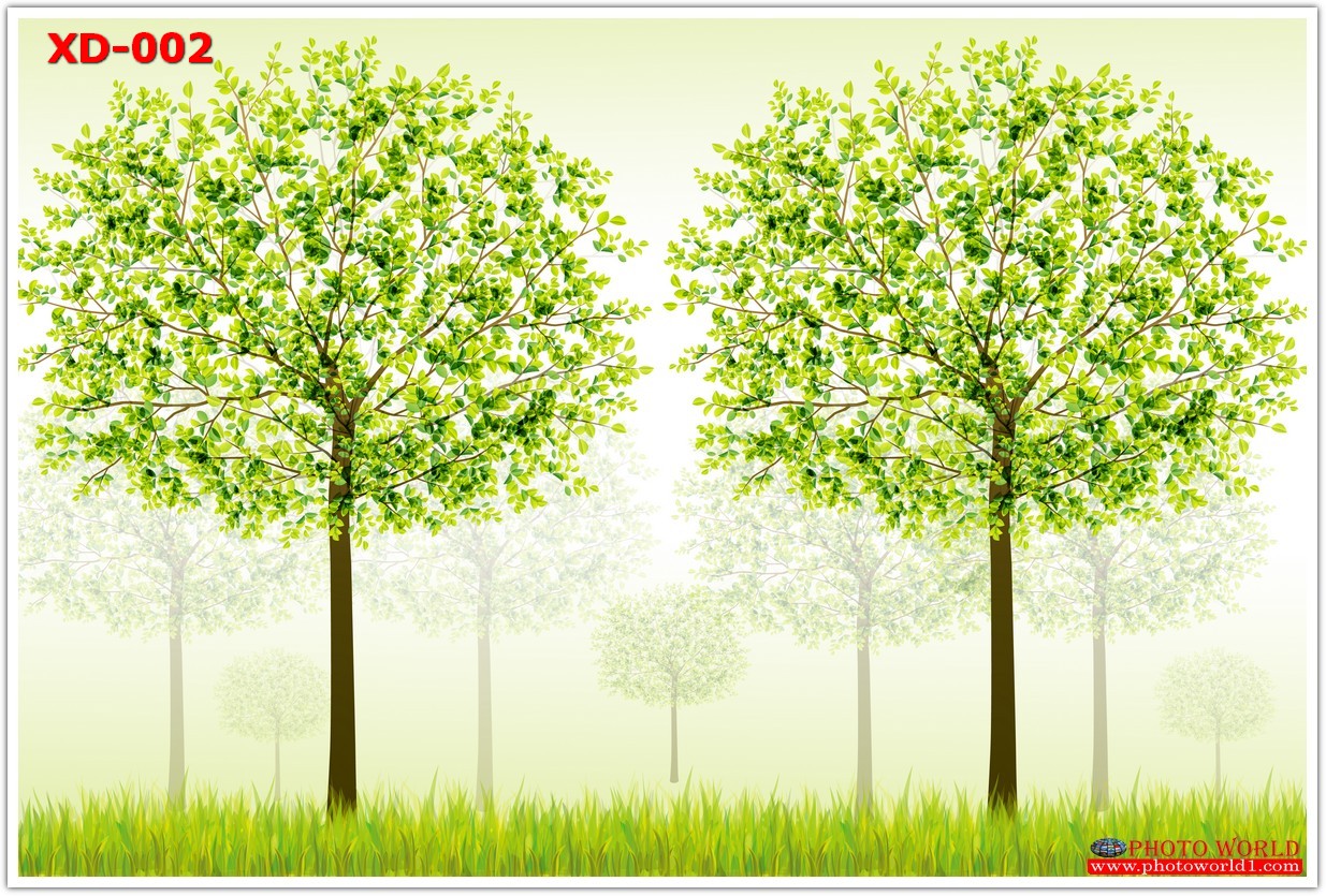 วอลเปเปอร์รูปภาพติดผนังสั่งทำ มีภาพให้เลือกกว่า 50,000 ภาพ ออกแบบกราฟฟิค หรือ รูปภาพตามที่ท่านกำหนด ในสไตล์ท่านเอง "custom made"