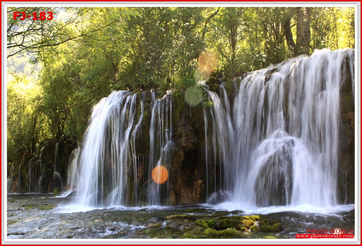 วอลเปเปอร์รูปภาพติดผนังสั่งทำ มีภาพให้เลือกกว่า 50,000 ภาพ ออกแบบกราฟฟิค หรือ รูปภาพตามที่ท่านกำหนด ในสไตล์ท่านเอง "custom made"