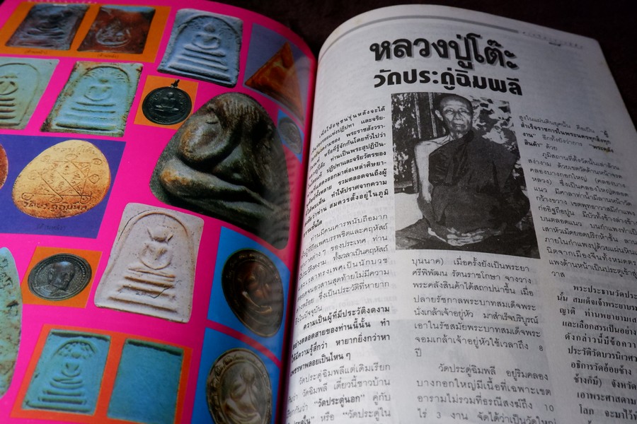 9 พระอาจารย์เสือ โดย สุริยัน ศักดิ์ไธสง (สุดยอด เครื่องรางของขลังขมังเวทย์ 9 เกจิอาจารย์ดัง)