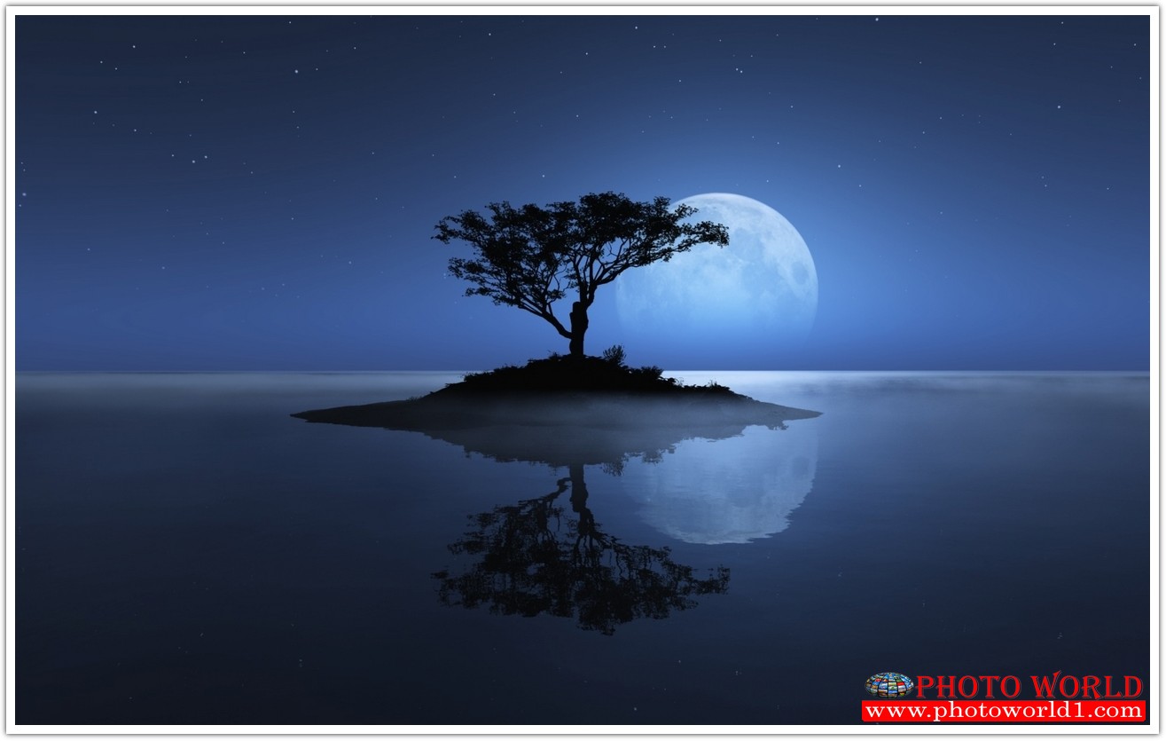 วอลเปเปอร์รูปภาพติดผนังสั่งทำ มีภาพให้เลือกกว่า 50,000 ภาพ ออกแบบกราฟฟิค หรือ รูปภาพตามที่ท่านกำหนด ในสไตล์ท่านเอง "custom made"