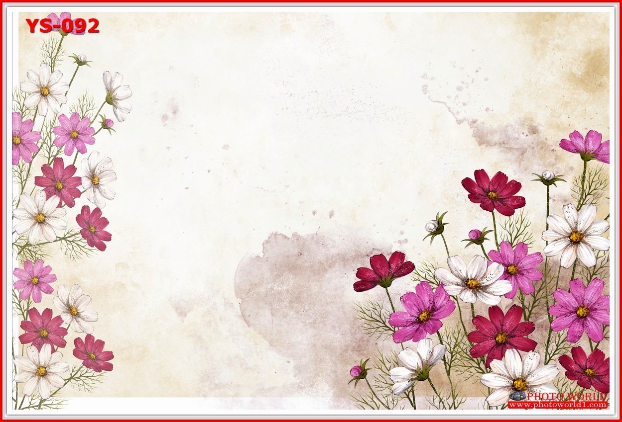 วอลเปเปอร์รูปภาพติดผนังสั่งทำ มีภาพให้เลือกกว่า 50,000 ภาพ ออกแบบกราฟฟิค หรือ รูปภาพตามที่ท่านกำหนด ในสไตล์ท่านเอง "custom made"