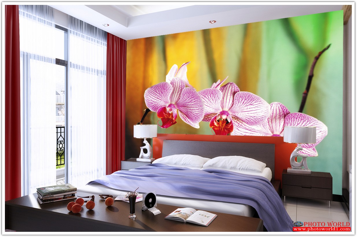 วอลเปเปอร์รูปภาพติดผนังสั่งทำ มีภาพให้เลือกกว่า 50,000 ภาพ ออกแบบกราฟฟิค หรือ รูปภาพตามที่ท่านกำหนด ในสไตล์ท่านเอง "custom made"