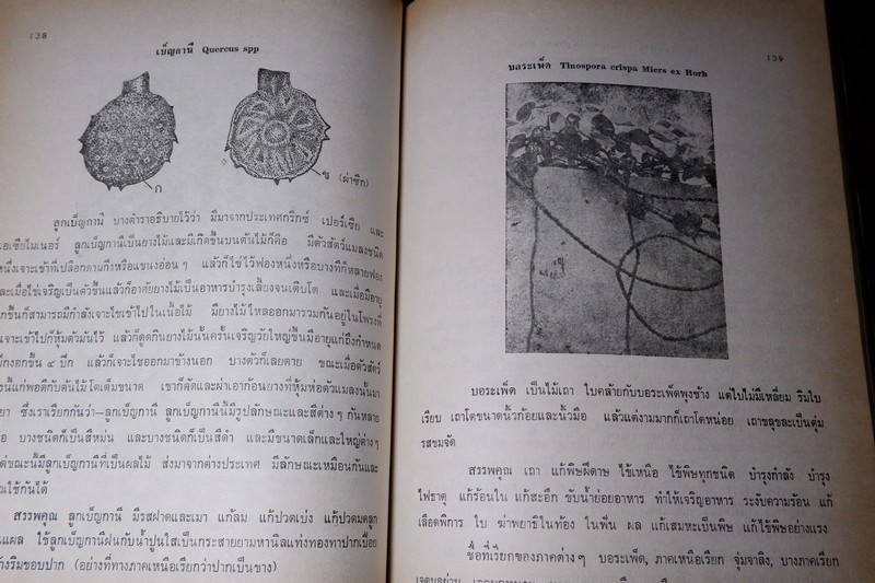 ตำราสรรพคุณ สมุนไพร ยาไทยเเผนโบราณ โดย สายสนม กิตติขจร ปี 2526 (สอบถาม)