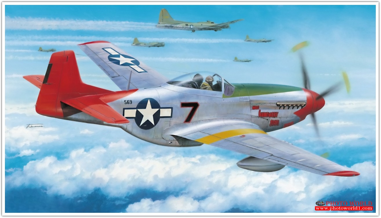 วอลเปเปอร์รูปภาพติดผนังสั่งทำ มีภาพให้เลือกกว่า 50,000 ภาพ ออกแบบกราฟฟิค หรือ รูปภาพตามที่ท่านกำหนด ในสไตล์ท่านเอง "custom made"