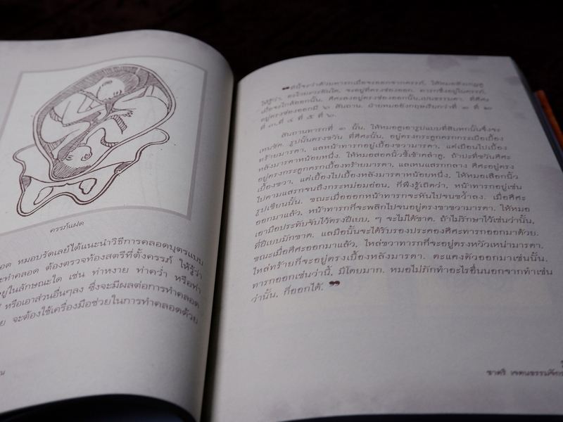 9 สุดยอดตำรา การเเพทย์โบราณ ชาตรี เจตนธรรมจักร วันทนี เจตนธรรมจักร พิมพ์ 1000 เล่ม ปี 2551 (Pre-Order สอบถาม)
