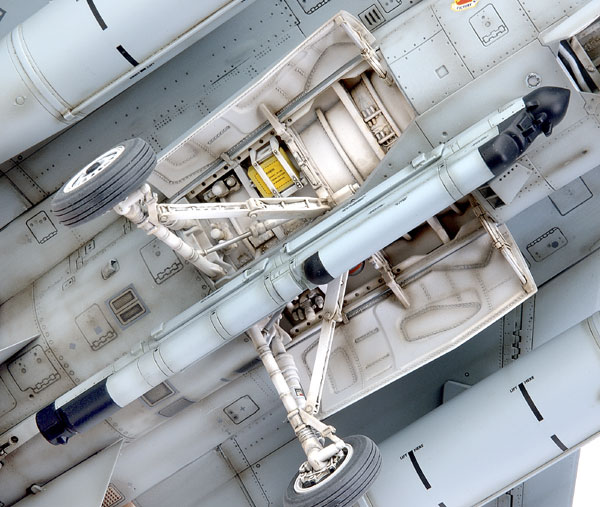 F-16CJ (Block 50) Fighting Falcon.