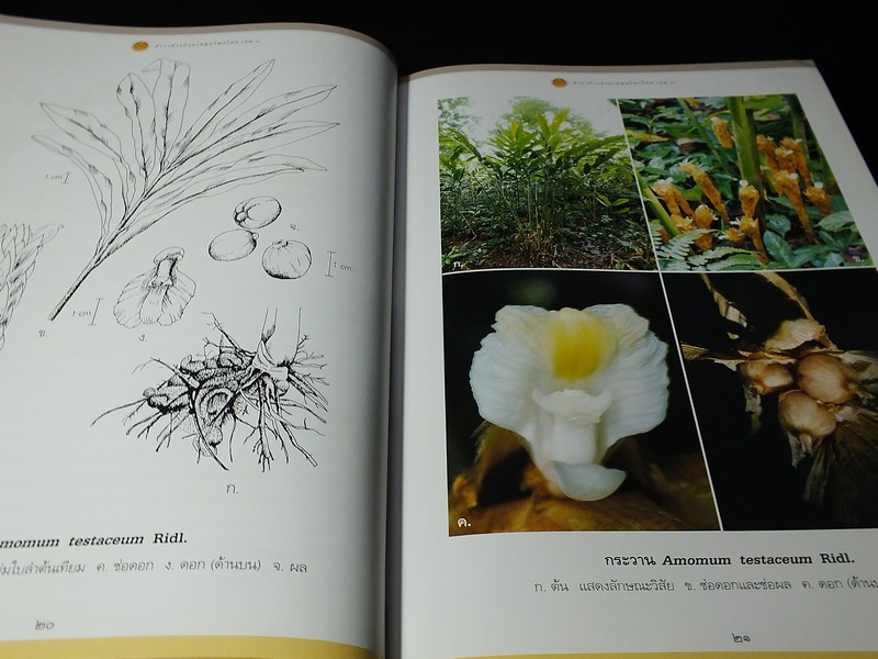 ตำราอ้างอิงยาสมุนไพรไทย โดย คณะอนุกรรมการจัดทำตำราอ้างอิงสมุนไพรไทย ปกแข็ง 3 เล่ม (สอบถาม)