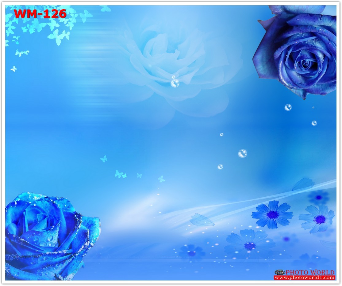 วอลเปเปอร์รูปภาพติดผนังสั่งทำ มีภาพให้เลือกกว่า 50,000 ภาพ ออกแบบกราฟฟิค หรือ รูปภาพตามที่ท่านกำหนด ในสไตล์ท่านเอง "custom made"