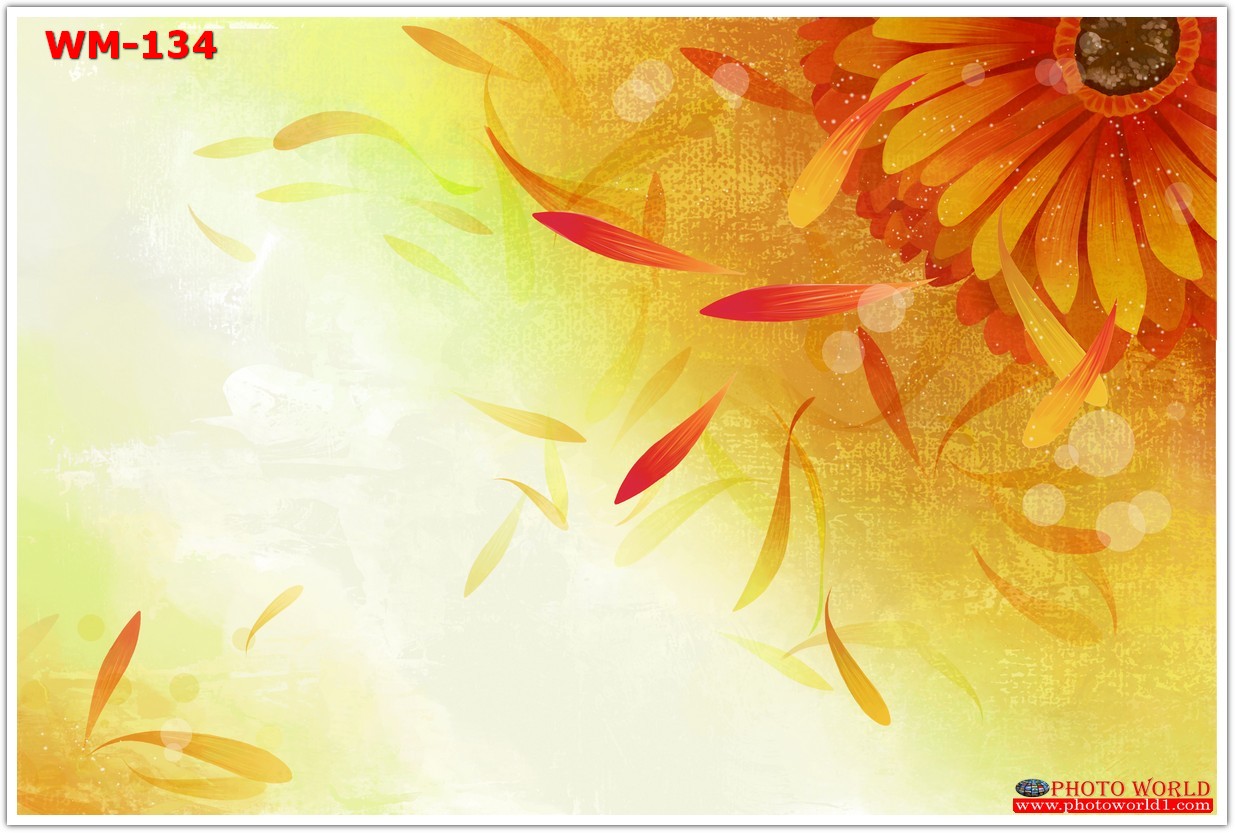 วอลเปเปอร์รูปภาพติดผนังสั่งทำ มีภาพให้เลือกกว่า 50,000 ภาพ ออกแบบกราฟฟิค หรือ รูปภาพตามที่ท่านกำหนด ในสไตล์ท่านเอง "custom made"