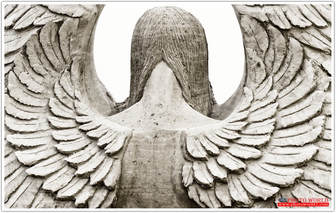 วอลเปเปอร์รูปภาพติดผนังสั่งทำ มีภาพให้เลือกกว่า 50,000 ภาพ ออกแบบกราฟฟิค หรือ รูปภาพตามที่ท่านกำหนด ในสไตล์ท่านเอง "custom made"