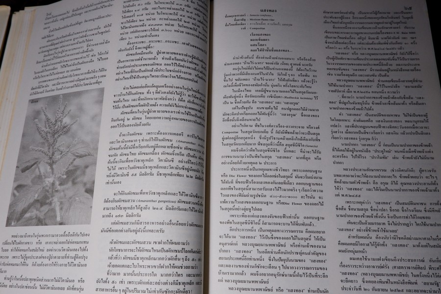 ดอกไม้เเละประวัติไม้ดอกเมืองไทย โดย วิชัย อภัยสุวรรณ ปกแข็ง ปี 2532
