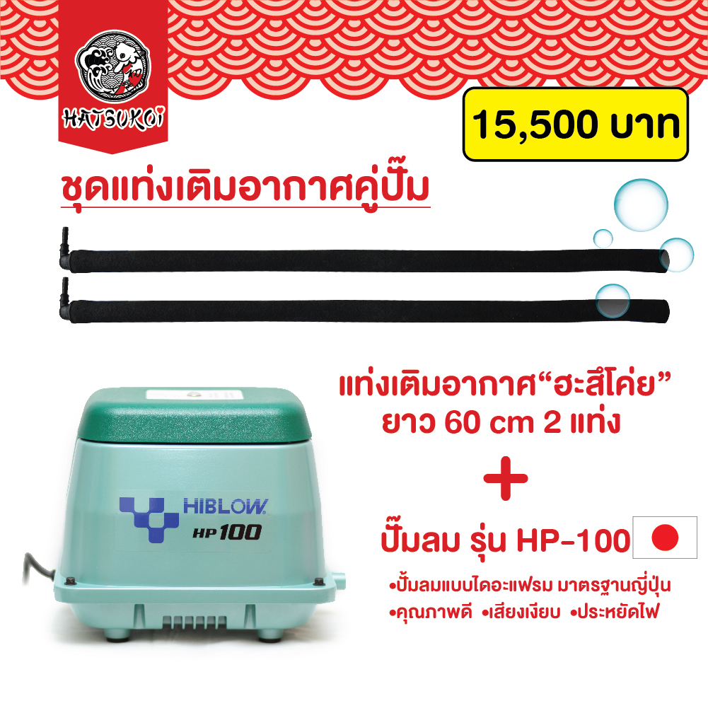 ชุดเติมอากาศพร้อมใช้ แท่งเติมอากาศ ฮะสึโค่ย กับ ปั๊มลม HIBLOW รุ่น HP-80