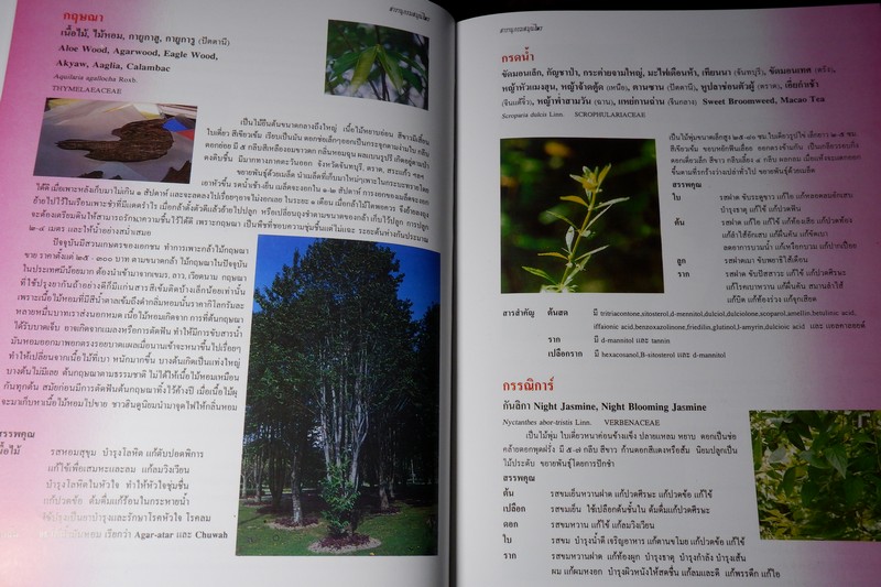 สารานุกรมสมุนไพร รวมหลักเภสัชกรรมไทย โดย วุฒิ วุฒิธรรมเวช ปกแข็ง พิมพ์ 1000 เล่ม ปี 2540