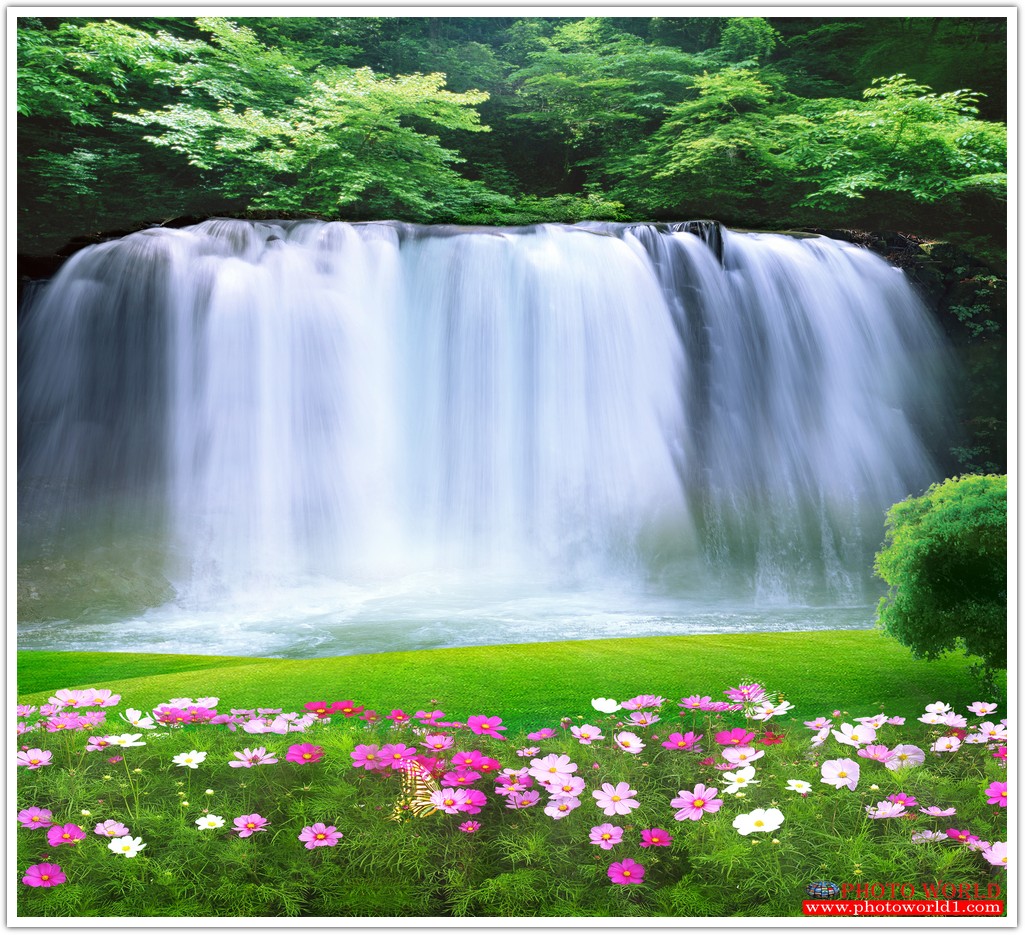 วอลเปเปอร์รูปภาพติดผนังสั่งทำ มีภาพให้เลือกกว่า 50,000 ภาพ ออกแบบกราฟฟิค หรือ รูปภาพตามที่ท่านกำหนด ในสไตล์ท่านเอง "custom made"