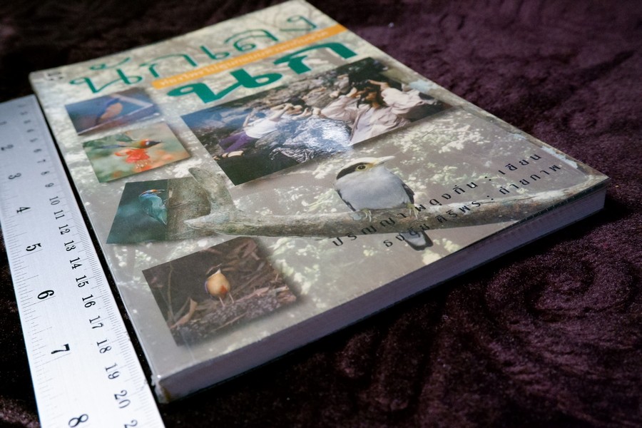 นักเลงนก ท่องไพรไปดูนกเเบบหัวหกก้นขวิด โดย ปริญญา ผดุงถิ่น