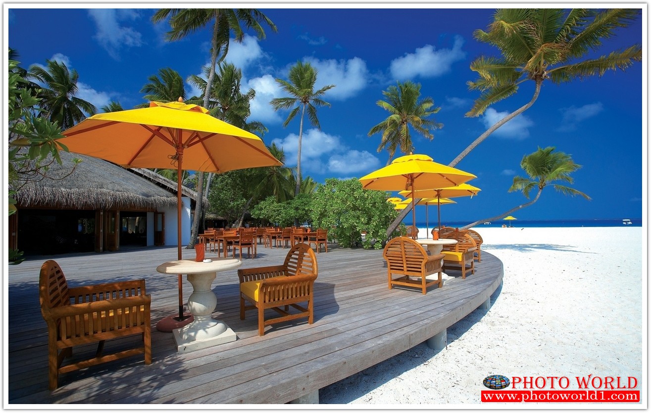 วอลเปเปอร์รูปภาพติดผนังสั่งทำ มีภาพให้เลือกกว่า 50,000 ภาพ ออกแบบกราฟฟิค หรือ รูปภาพตามที่ท่านกำหนด ในสไตล์ท่านเอง "custom made"