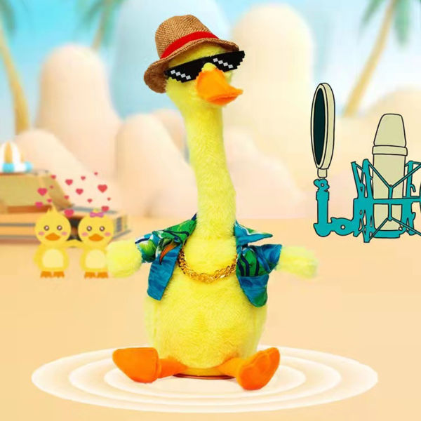 Hip Hop Duck
