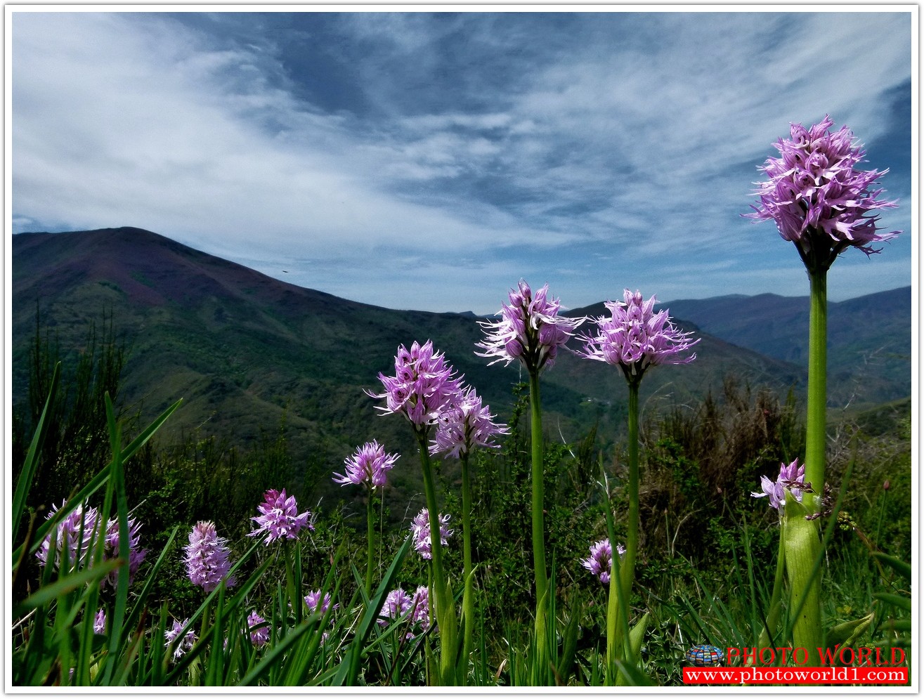 วอลเปเปอร์รูปภาพติดผนังสั่งทำ มีภาพให้เลือกกว่า 50,000 ภาพ ออกแบบกราฟฟิค หรือ รูปภาพตามที่ท่านกำหนด ในสไตล์ท่านเอง "custom made"