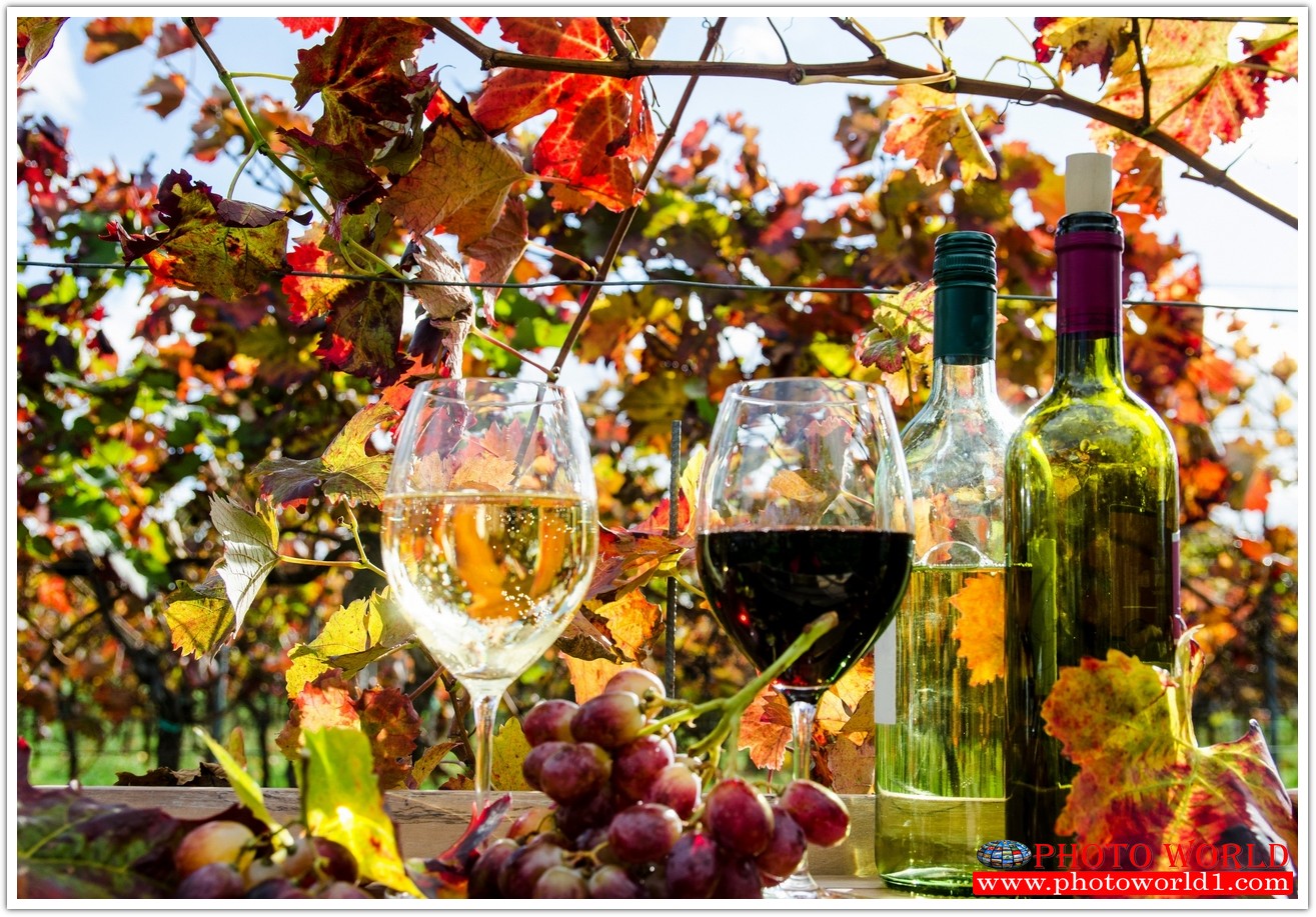 วอลเปเปอร์รูปภาพติดผนังสั่งทำ มีภาพให้เลือกกว่า 50,000 ภาพ ออกแบบกราฟฟิค หรือ รูปภาพตามที่ท่านกำหนด ในสไตล์ท่านเอง "custom made"