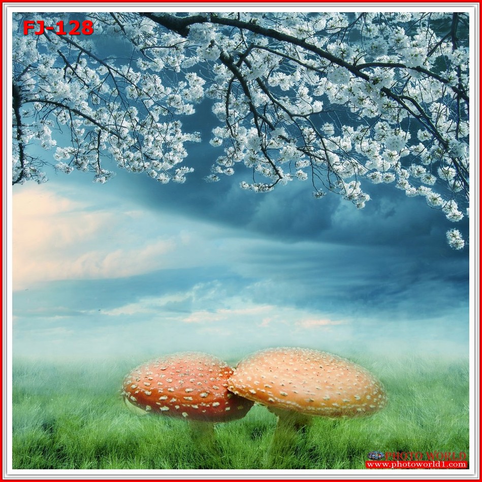 วอลเปเปอร์รูปภาพติดผนังสั่งทำ มีภาพให้เลือกกว่า 50,000 ภาพ ออกแบบกราฟฟิค หรือ รูปภาพตามที่ท่านกำหนด ในสไตล์ท่านเอง "custom made"