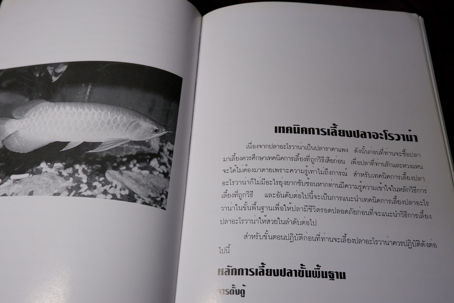 คู่มือ การเลี้ยงปลาอะโรวาน่า โดย สุรศักดิ์ วงศ์กิตติเวช ปกเเข็ง ปี 2543