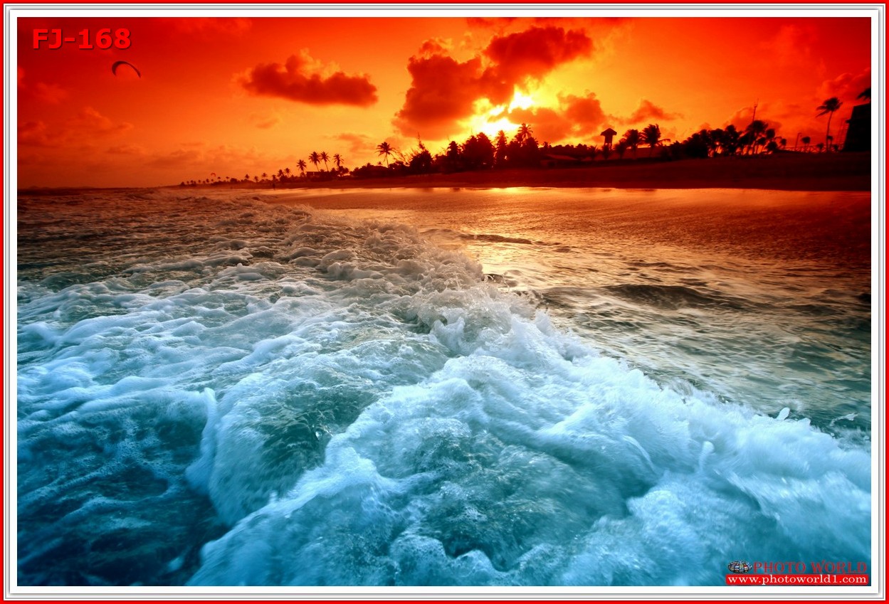 วอลเปเปอร์รูปภาพติดผนังสั่งทำ มีภาพให้เลือกกว่า 50,000 ภาพ ออกแบบกราฟฟิค หรือ รูปภาพตามที่ท่านกำหนด ในสไตล์ท่านเอง "custom made"