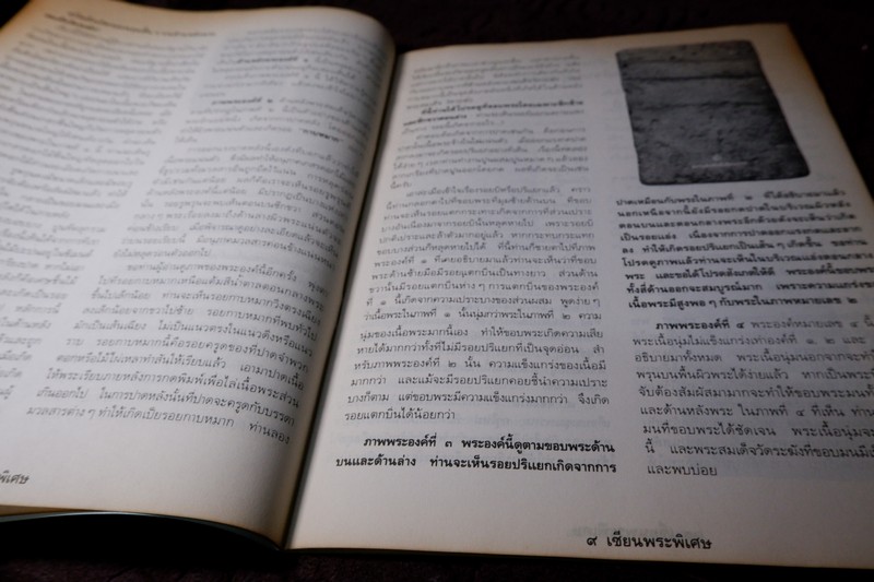 เซียนพระพิเศษ 3 กรุเก่าฟองเต้าหู้ กรุใหม่ดินขี้เป็ด